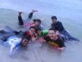 /album/mukahead-08-09-sains-gunaan-/dsc00342-jpg/